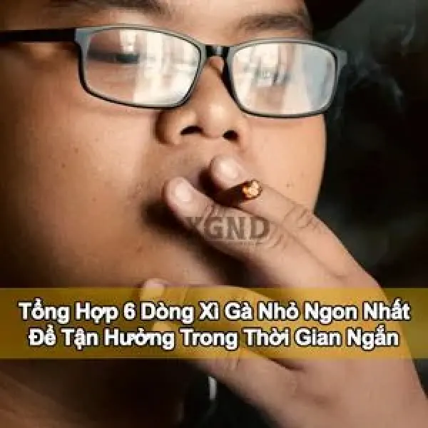 Tổng Hợp 6 Dòng Xì Gà Nhỏ Ngon Nhất Để Tận Hưởng Trong Thời Gian Ngắn