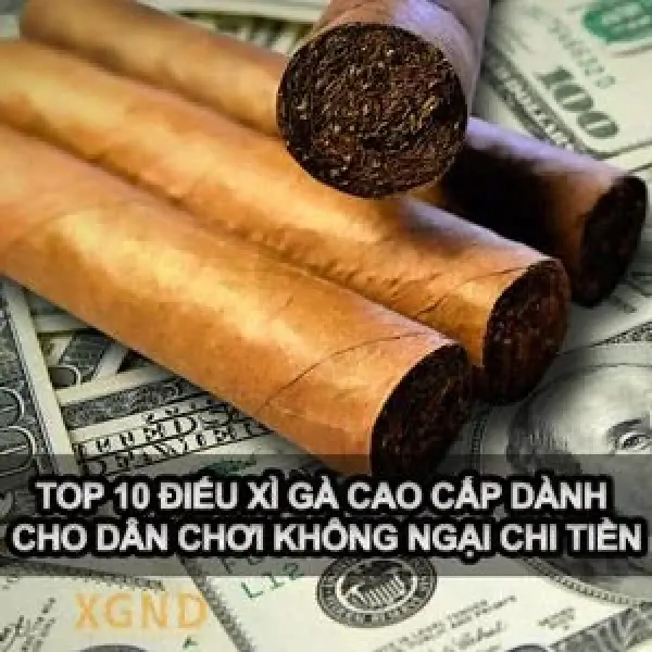 Top 10 Điếu Xì Gà Đỉnh Cao Cho Những Ai Không Ngại Chi Tiền