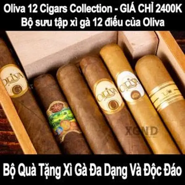 Bộ Sưu Tập Xì Gà Oliva 12 Cigar - Hương Vị Tốt Nhất Từ Gia Đình Oliva