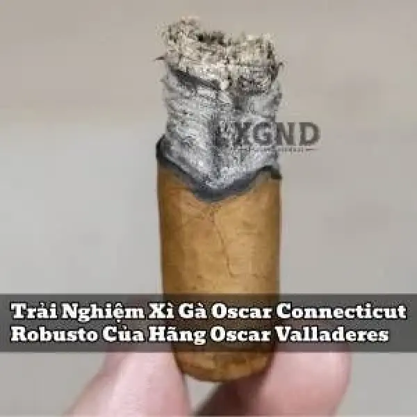 Trải Nghiệm Xì Gà Oscar Connecticut Robusto Của Hãng Oscar Valladeres