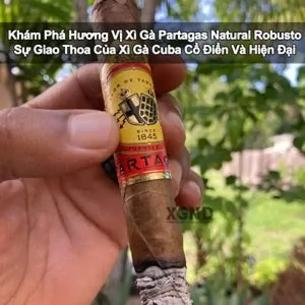 Xì Gà Partagas Natural Robusto - Sự Kết Hợp Hương Vị Cuba Và Dominica