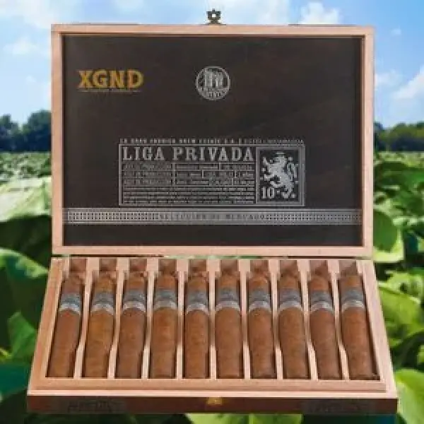 Dòng Xì Gà Liga Privada 10 Aniversario Selección de Mercado Phiên Bản Kỷ Niệm 10 Năm