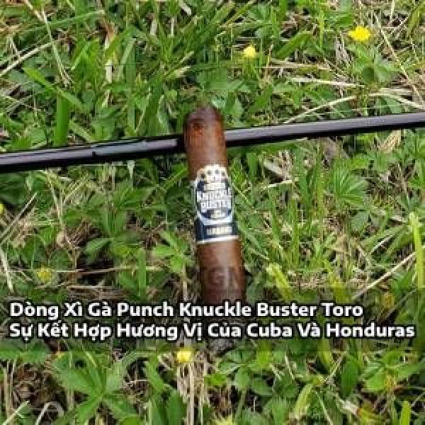 Dòng Xì Gà Punch Knuckle Buster Toro - Hương Vị Của Cuba Và Honduras