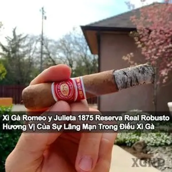 Xì Gà Romeo y Julieta 1875 Reserva Real Robusto - Sự Lãng Mạn Từ Xì Gà