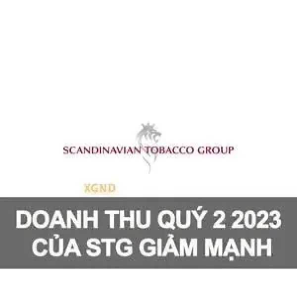 STG Công Bố Kết Quả Kinh Doanh Quý 2 Năm 2023 Thấp Hơn Dự Kiến