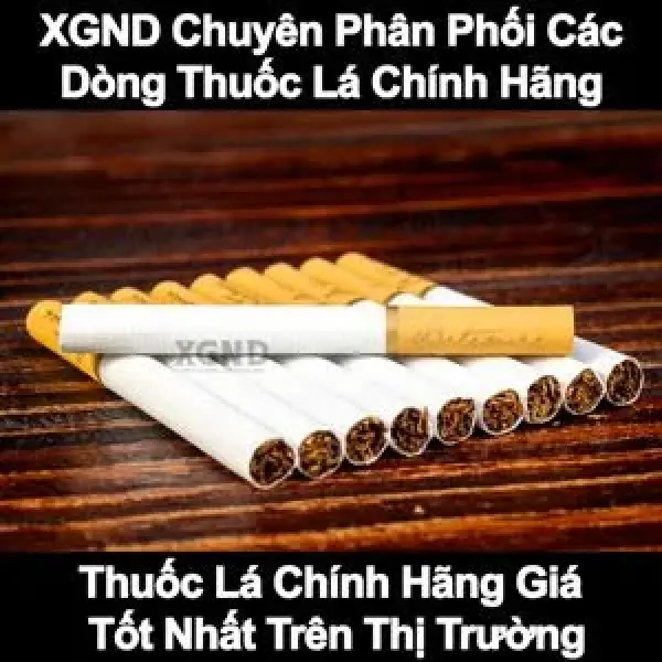 Khám Phá Sự Đa Dạng Của XGND - Đối Tác Tin Cậy Cho Thuốc Lá Chính Hãng