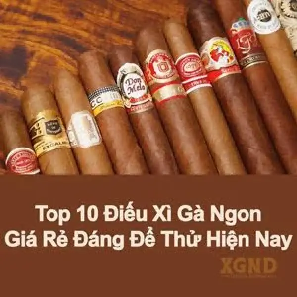 Góc Đánh Giá Xì Gà: Top 10 Xì Gà Đỉnh Nhất Năm 2023 Đáng Thử Ngay