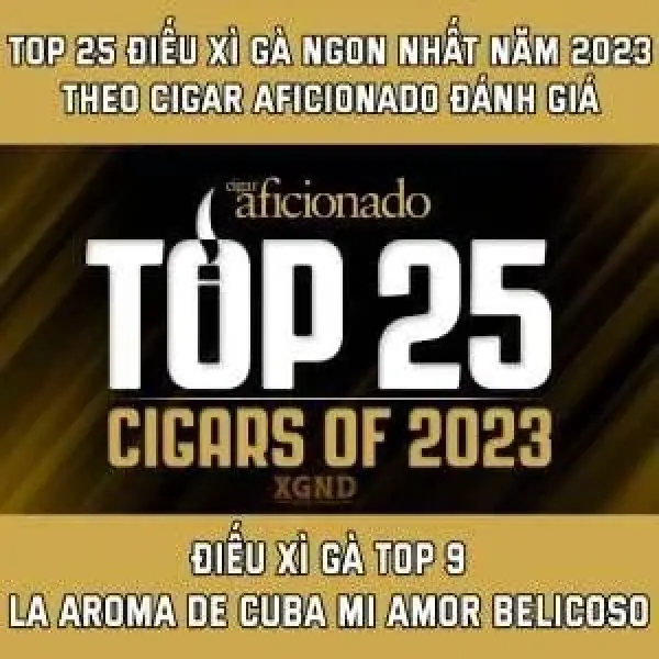Top Xì Gà Của Năm 2023 Theo Cigar Aficionado - Top 9 Xì Gà Của 2023