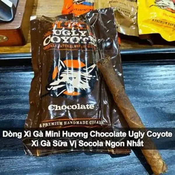 Dòng Xì Gà Mini Hương Chocolate Ugly Coyote - Xì Gà Sữa Vị Socola Ngon
