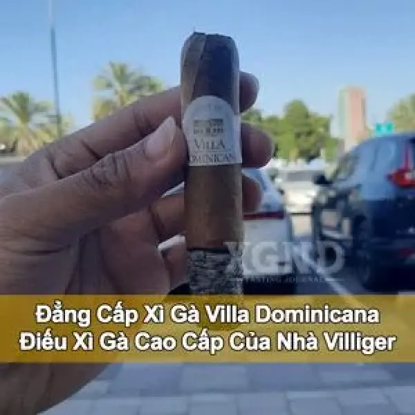 Đẳng Cấp Xì Gà Villa Dominicana - Điếu Xì Gà Cao Cấp Của Nhà Villiger