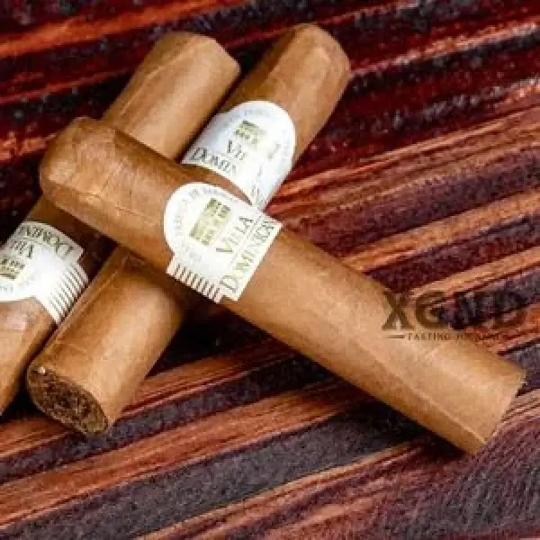 Thưởng Thức Và Đánh Giá Dòng Xì Gà Villiger Villa Dominicana Short Robusto Chính Hãng