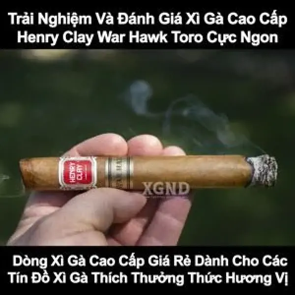 Trải Nghiệm Và Đánh Giá Xì Gà Cao Cấp Henry Clay Warhawk Toro Cực Ngon
