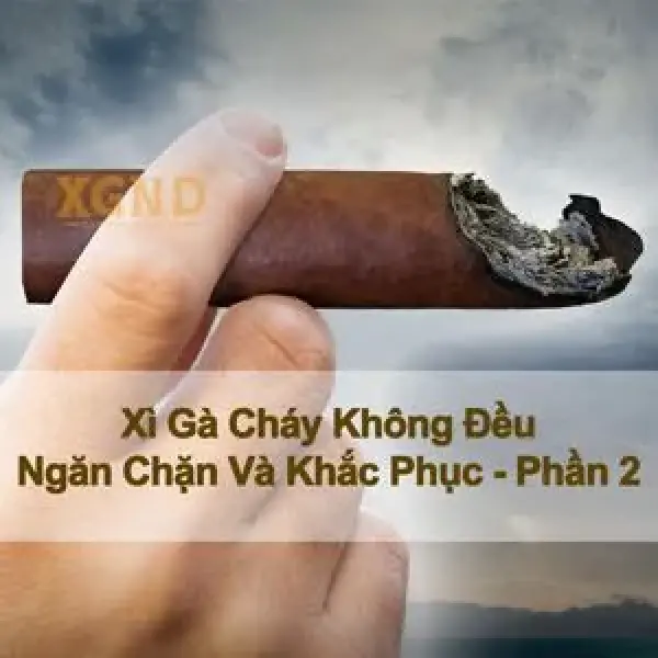 Xì Gà Của Bạn Cháy Không Đều - Ngăn Chặn Và Khắc Phục Vấn Đề - Phần 2