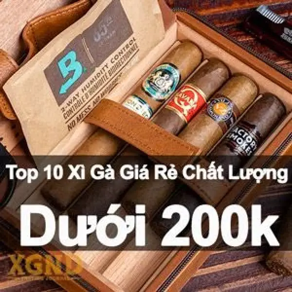 Top 10 Xì Gà Giá Rẻ Chất Lượng Dưới 200k - Đam Mê Không Đắt Đỏ!