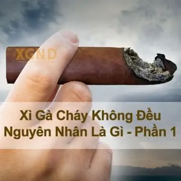 Xì Gà Của Bạn Cháy Không Đều - Vì Sao Có Hiện Tượng Này - Phần 1