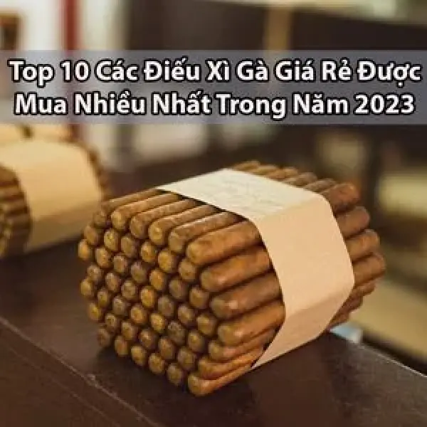 Top 10 Xì Gà Giá Rẻ Bán Chạy Nhất 2023 - Xì Gà Chính Hãng