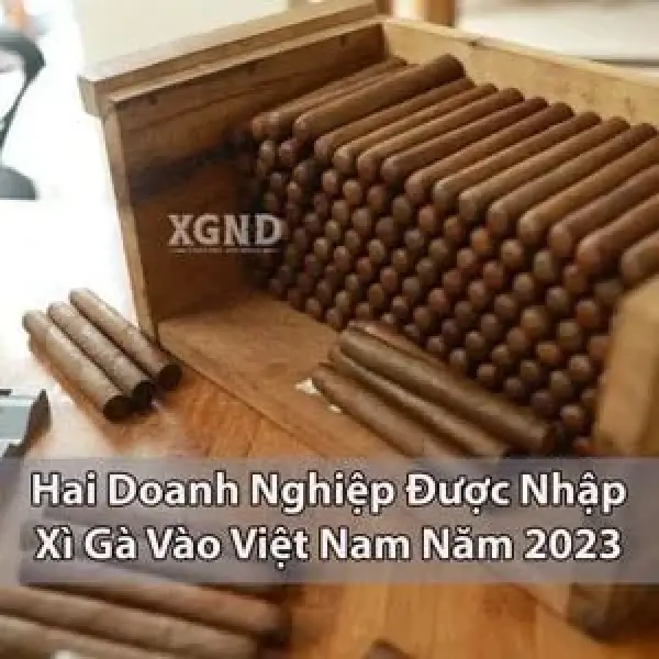 Hai Doanh Nghiệp Được Nhập Xì Gà Vào Việt Nam Năm 2023