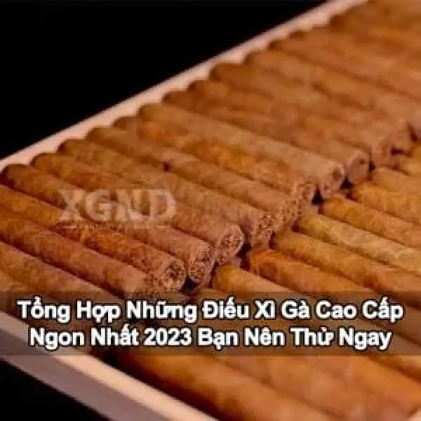 Tổng Hợp Những Điếu Xì Gà Cao Cấp Ngon Nhất 2023 Bạn Nên Thử Ngay
