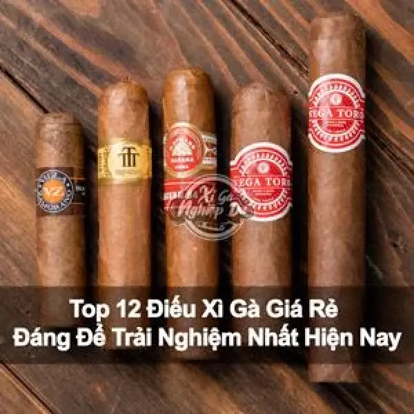 Top 12 Điếu Xì Gà Giá Rẻ Đáng Để Trải Nghiệm Nhất Hiện Nay - Xì Gà HCM