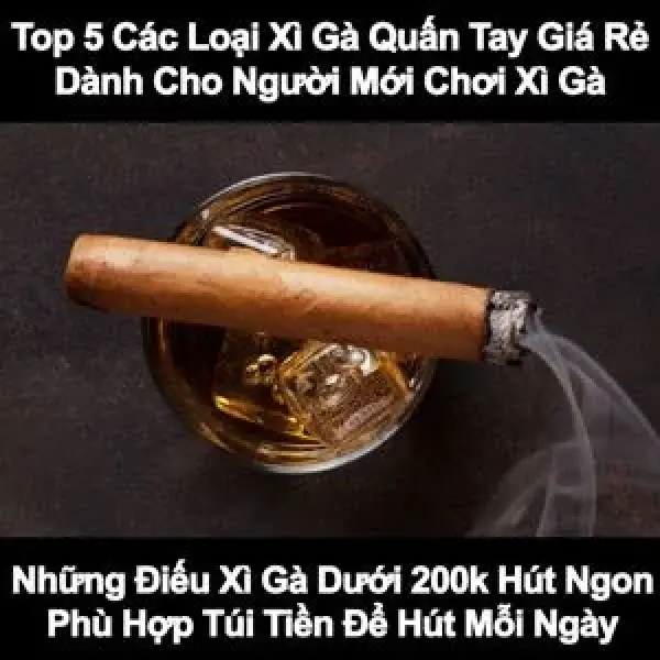 Tổng Hợp 5 Dòng Xì Gà Giá Rẻ Hút Ngon Cho Bạn Hút Mỗi Ngày