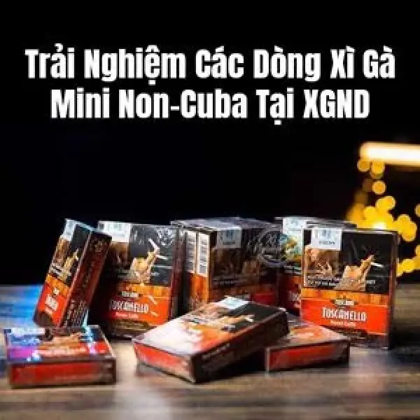 Trải Nghiệm Các Dòng Xì Gà Mini Non-Cuba Tại XGND