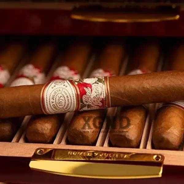Tủ Romeo y Julieta Bed of Roses Humidor With 24 Điếu Xì Gà Đặc biệt