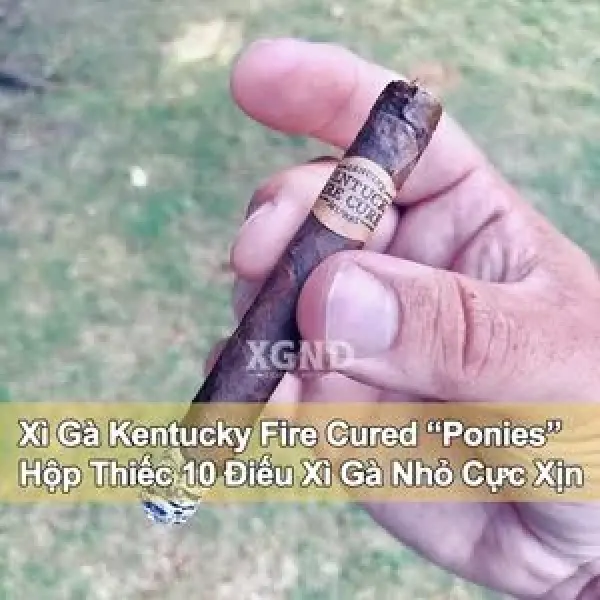 Xì Gà Kentucky Fire Cured Ponies - Hộp Thiếc 10 Điếu Xì Gà Nhỏ Cực Xịn