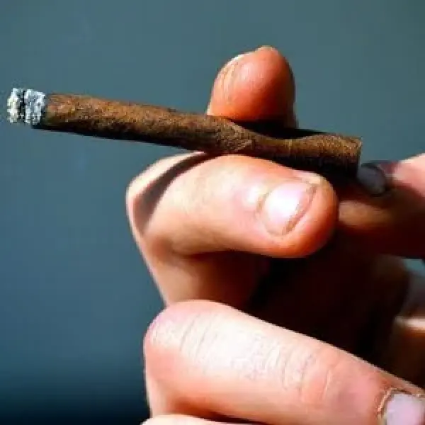 Xì Gà Giá Rẻ Hút Ngon - Những Dòng Xì Gà Mini Hút Ngon Nhất Cho Anh Em