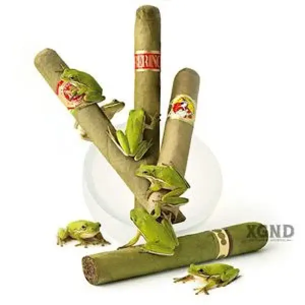 10 điều cần biết về dòng xì gà Candela Hoặc xì gà màu xanh