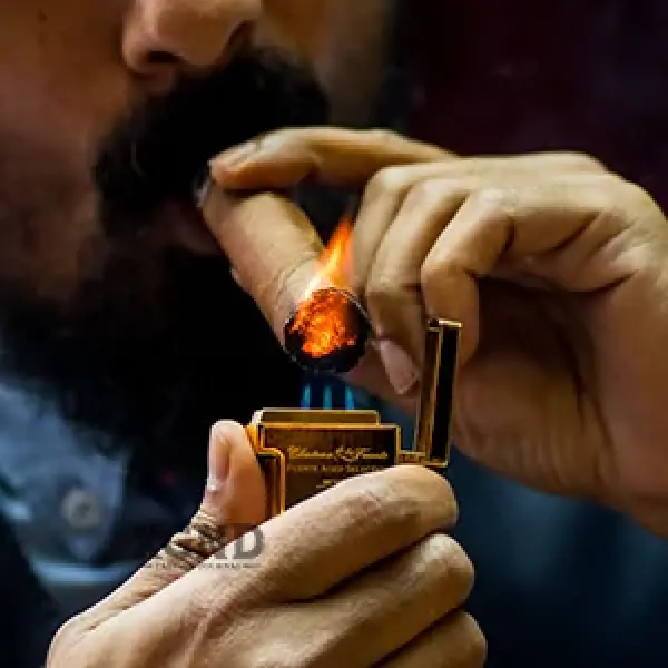 TẠI SAO MỌI NGƯỜI LẠI HÚT XÌ GÀ?