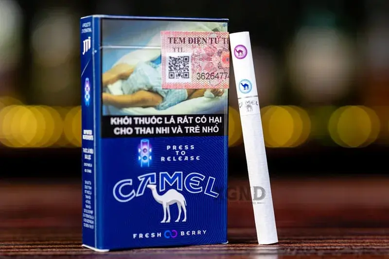 xgnd-thuoc-la-camel-fresh-berry-3-ceab80.webp