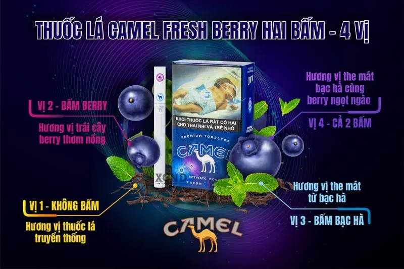xgnd-thuoc-la-camel-fresh-berry-800px-8e2cbf.webp