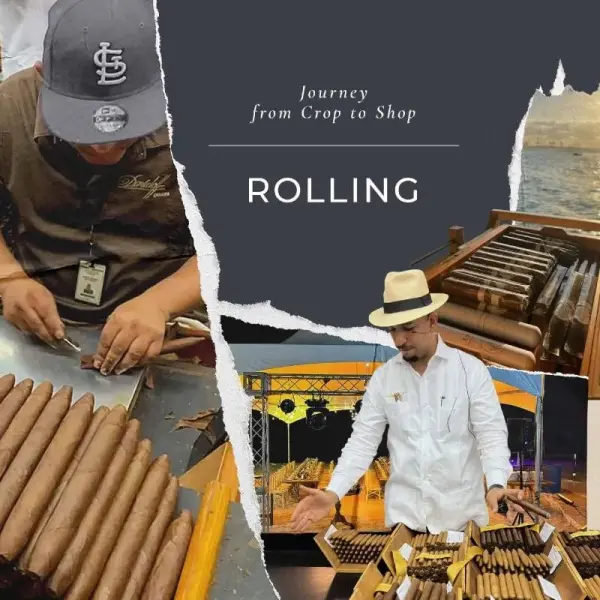 Quy Trình Sản Xuất Xì Gà Davidoff - Quá Trình Ủ Xì Gà Trong Nhiều Năm Giúp Xì Gà Ngon Hơn
