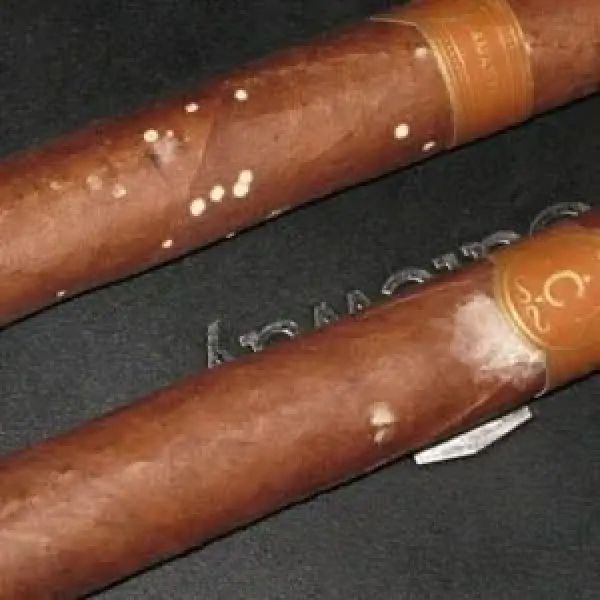 Làm Sao Để Khắc Phục Xì Gà Bị Mốc - Cách Đơn Giản Nhất Để Cứu Xì gà