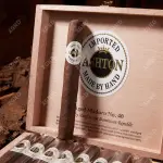 Cigar Ashton Aged Maduro No 40 - Xì Gà Chính Hãng