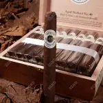 Cigar Ashton Aged Maduro No 40 - Xì Gà Chính Hãng