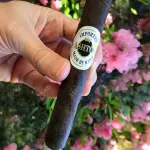 Cigar Ashton Aged Maduro No 40 - Xì Gà Chính Hãng
