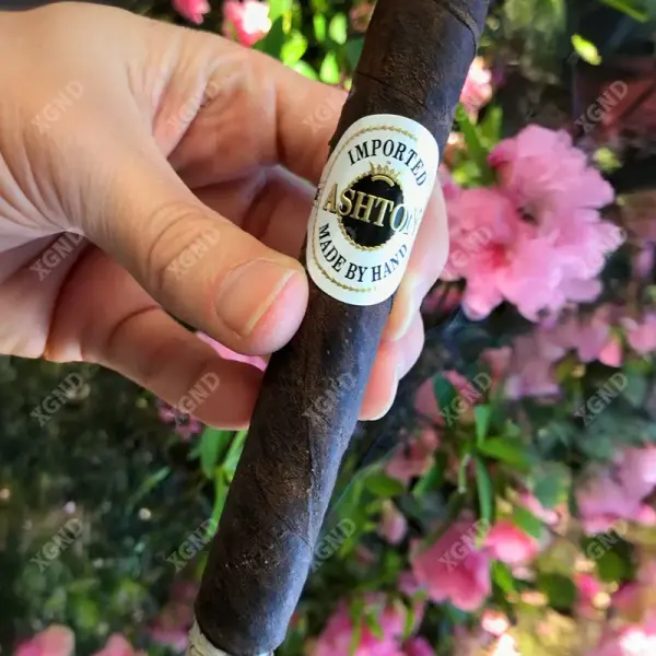 Cigar Ashton Aged Maduro No 40 - Xì Gà Chính Hãng