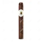 Cigar Ashton Aged Maduro No 40 - Xì Gà Chính Hãng