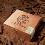 Cigar Ashton Aged Maduro No 40 - Xì Gà Chính Hãng