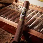 Cigar Ashton Estate Sun Grown ESG 21 Year Salute - Xì Gà Chính Hãng