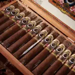 Cigar Ashton Estate Sun Grown ESG 21 Year Salute - Xì Gà Chính Hãng