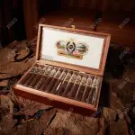 Cigar Ashton Estate Sun Grown ESG 21 Year Salute - Xì Gà Chính Hãng