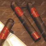 Cigar August 52 - Xì Gà Honduras Chính Hãng