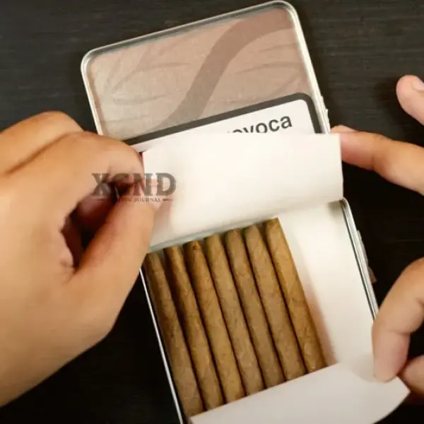 Cigar Mini Café Crème - Xì gà Mini Hà Lan Chính hãng