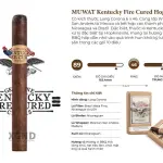 Cigar Kentucky Fire Cured Hogs Tooth - Xì Gà Chính Hãng