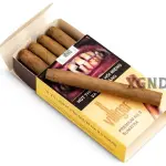 Cigar Villiger Premium No 9 Sumatra - Xì Gà Đức Chính Hãng