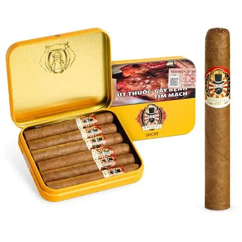 Neonlis Hipster Short Mini Cigars - hộp