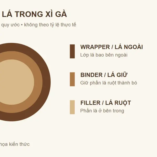 Wrapper, Binder, Filler là gì? Cách đọc ba lớp lá xì gà