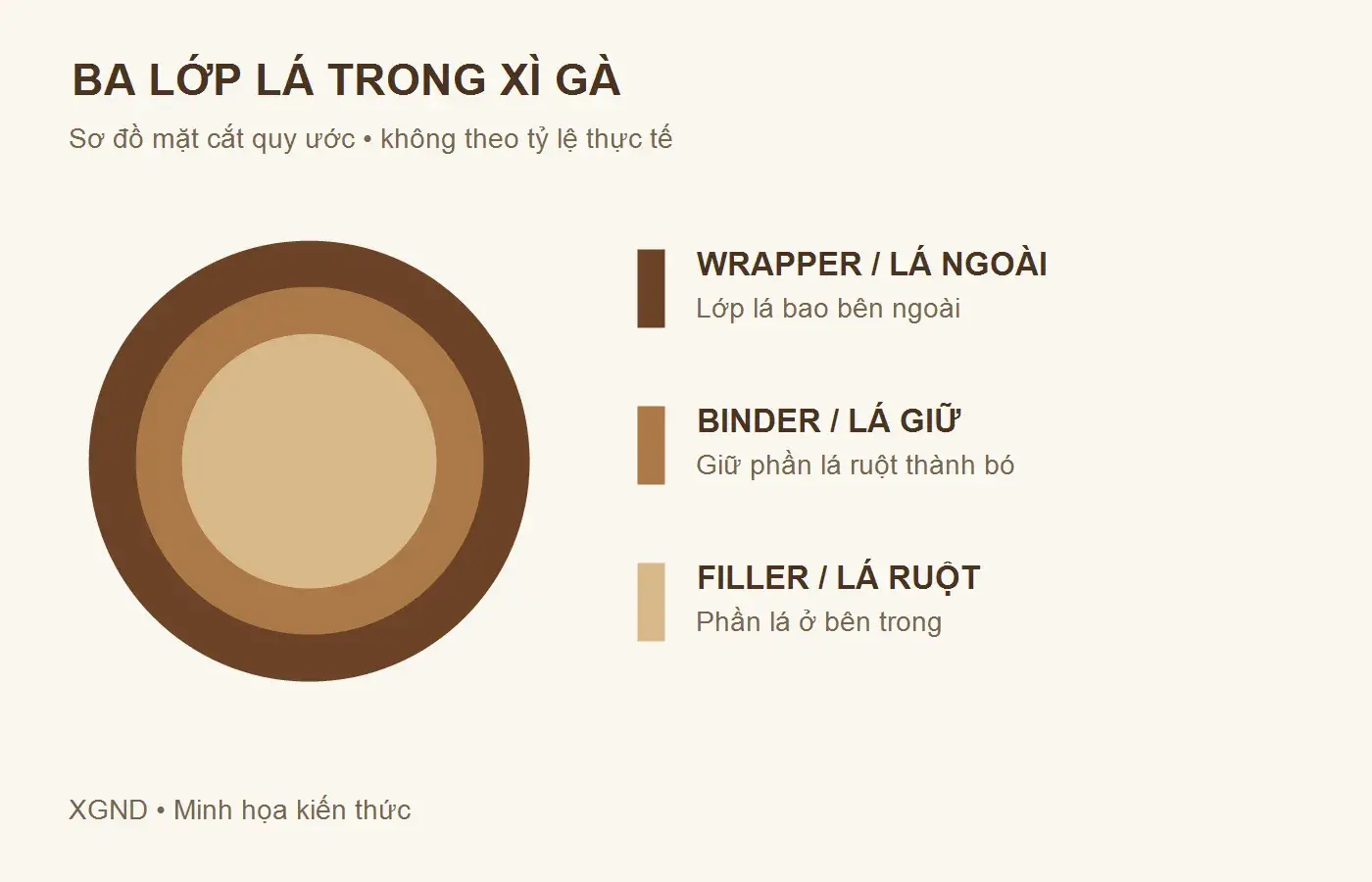 Sơ đồ ba lớp lá xì gà: wrapper ngoài cùng, binder ở giữa và filler bên trong